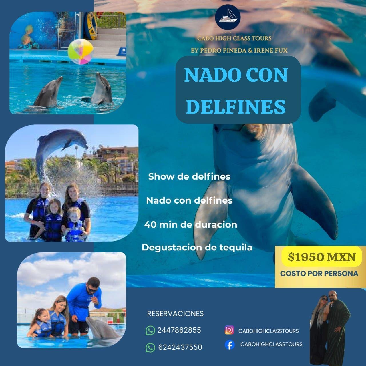 Nado con Delfines en Los Cabos